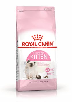 Royal Canin Kitten Gatto