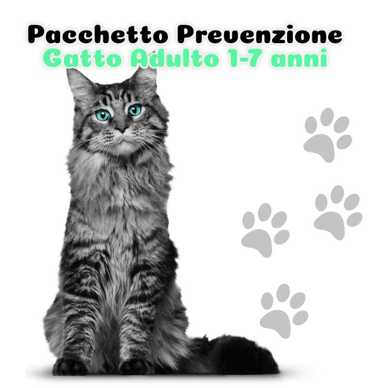 Pacchetto Prevenzione - Gatto adulto 1-7 anni