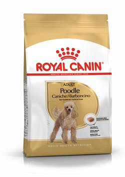 Royal Canin Poodle Adult Cane