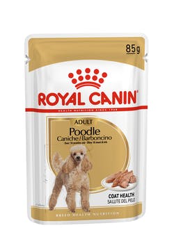 Royal Canin Poodle Cane
