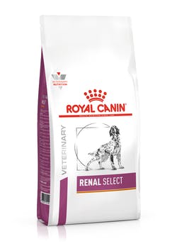 Royal Canin Renal Select Cane