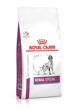Royal Canin Renal Special Secco Cane