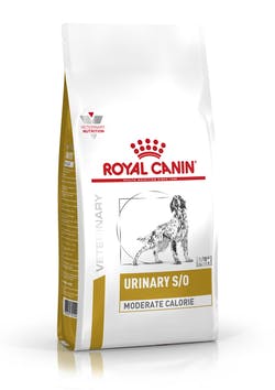 Royal Canin Urinary S/O Moderate Calorie Cane