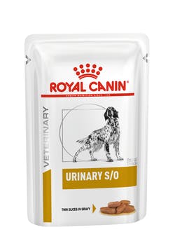 Royal Canin Urinary S/O straccetti in salsa Cane