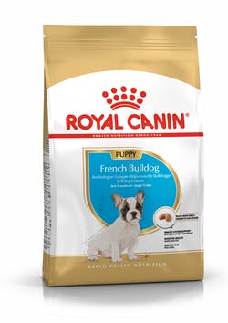 Royal Canin French Bulldog Puppy Cane