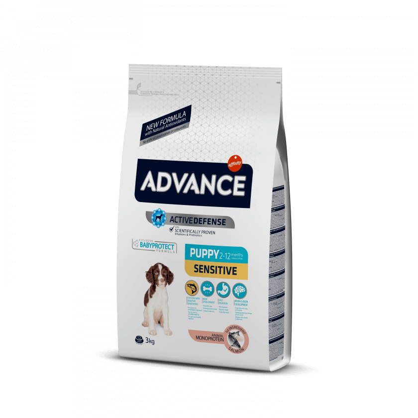 Advance Sensitive Puppy