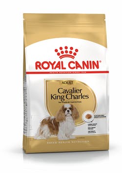 Royal Canin Cavalier King Charles Adult Cane