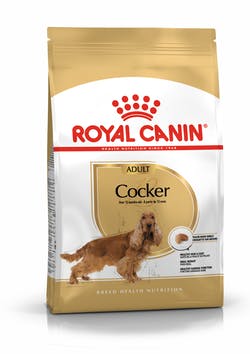 Royal Canin Cocker Adult Cane