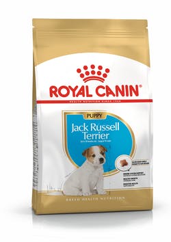 Royal Canin Jack Russell Terrier Puppy Cane