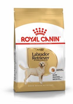 Royal Canin Labrador Retriever Adult per Cane