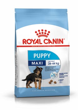 Royal Canin Maxi Puppy Cane