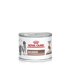 Royal Canin Recovery